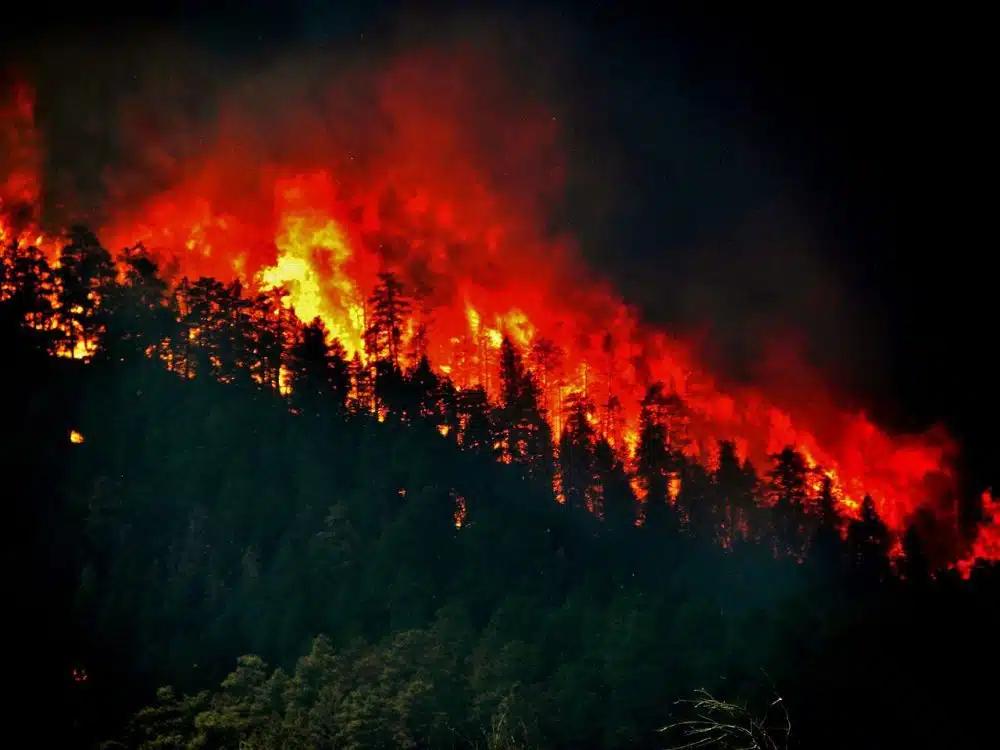 California Wildfires