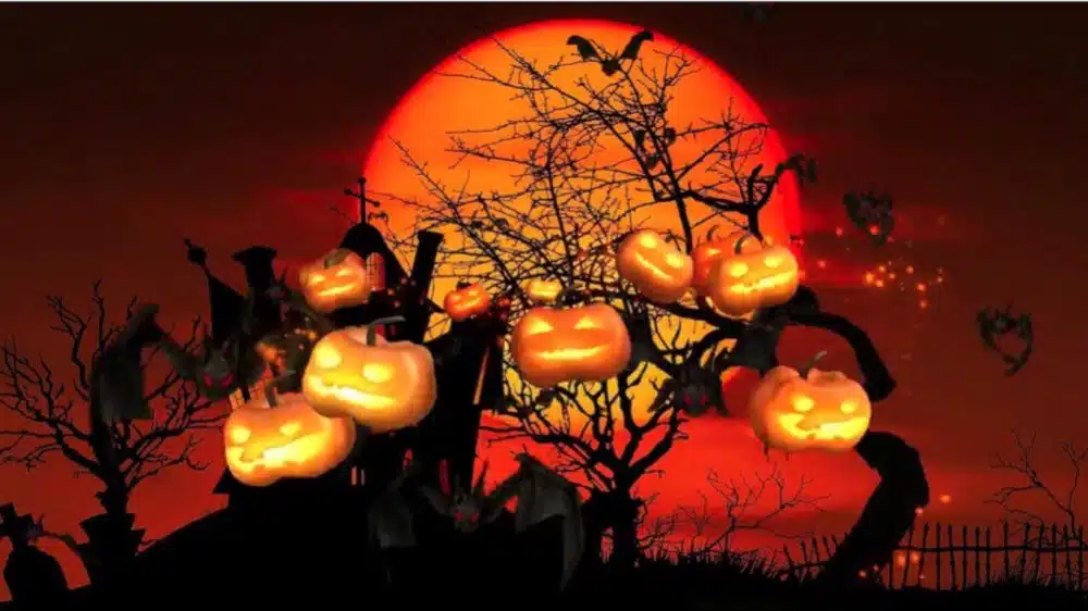 Halloween 2020 celebration