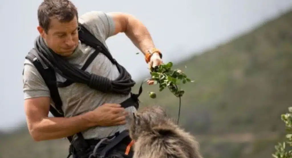 Bear Grylls at Netflix