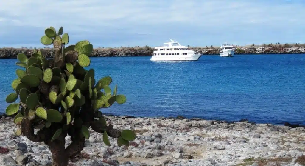 Galapagos Islands Cruise