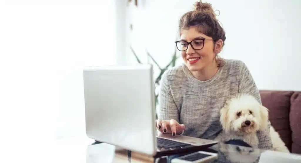 Successful Freelancer