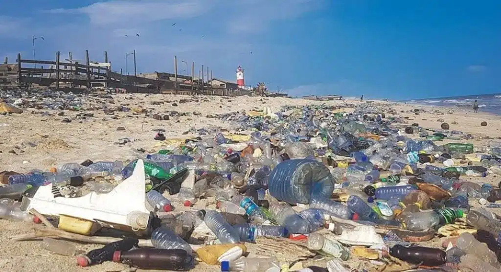 plastic pollution