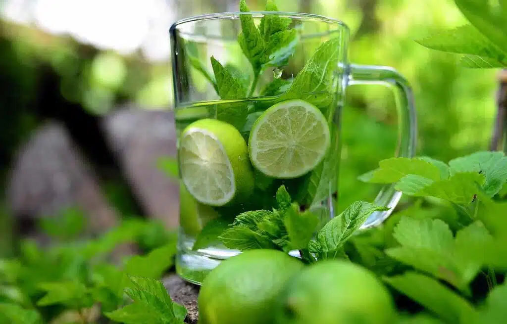 Health Benefits of Mint