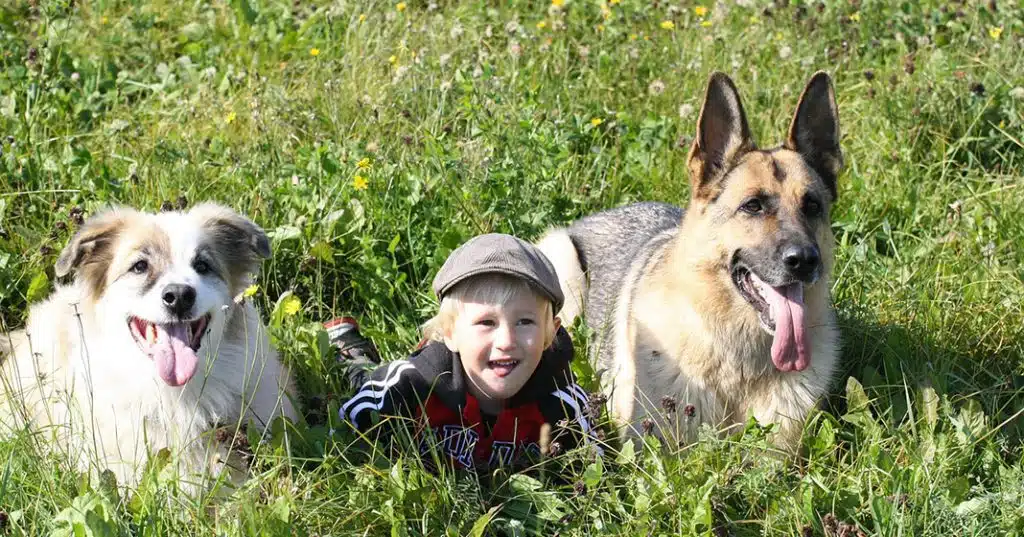 children with animals