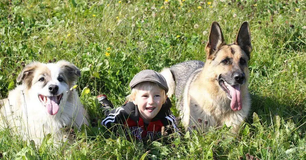 children with animals