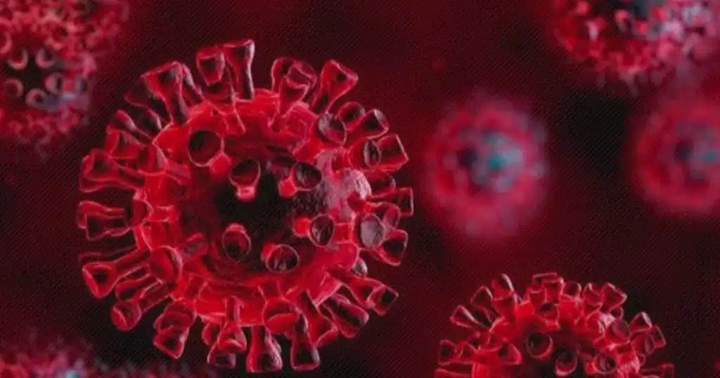 Coronavirus