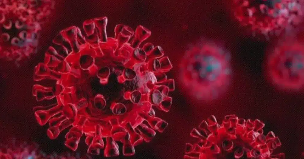 Coronavirus