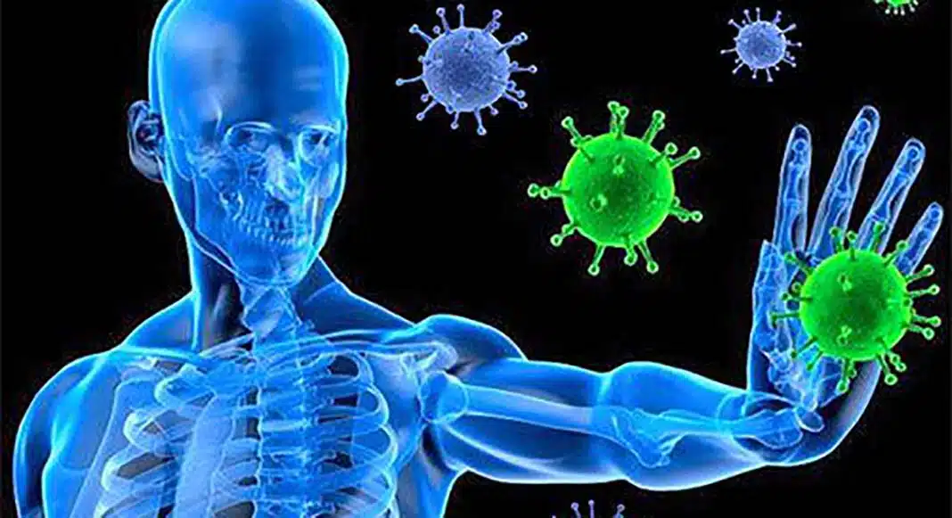 Immunity booster habits