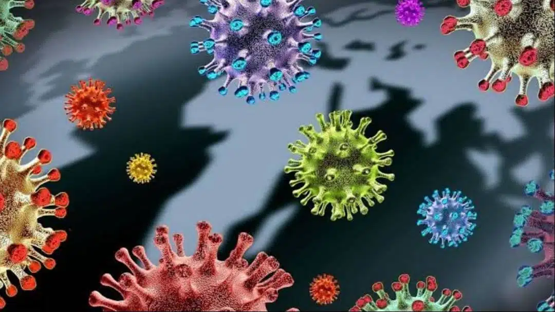 Delta variant of Covid-19