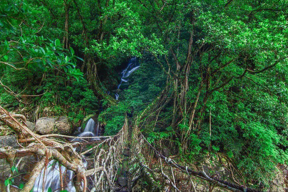 Top Resorts in Meghalaya / 1