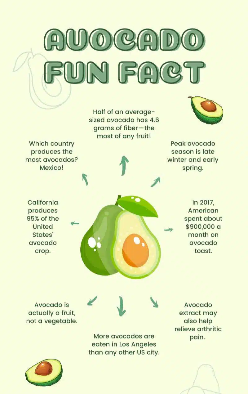 avocado fun facts
