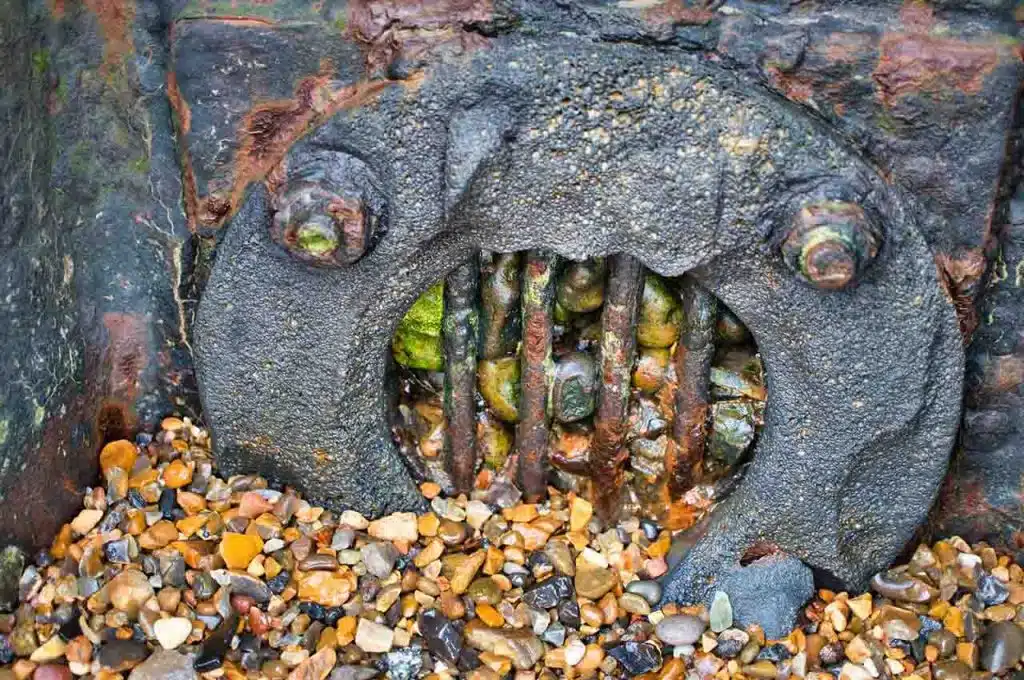 Blocked Drain in Sydney