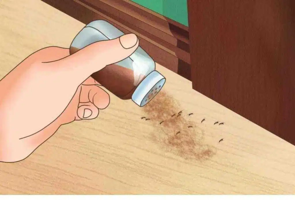 How to Get Rid of Pests