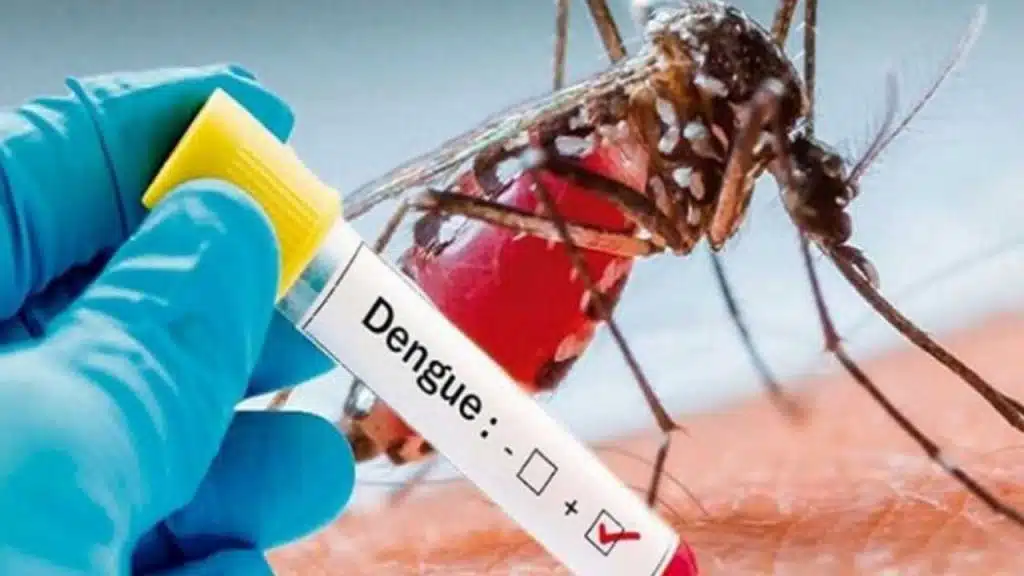 Dengue Fever
