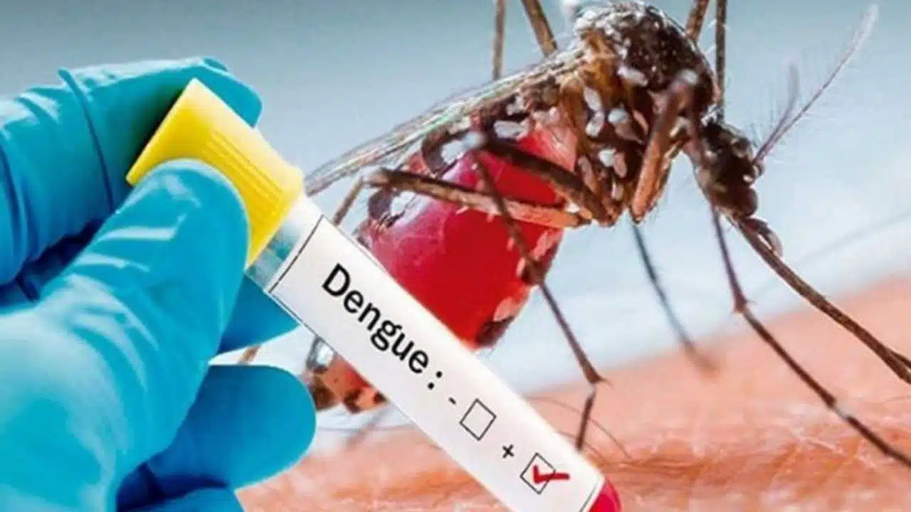 Dengue Fever