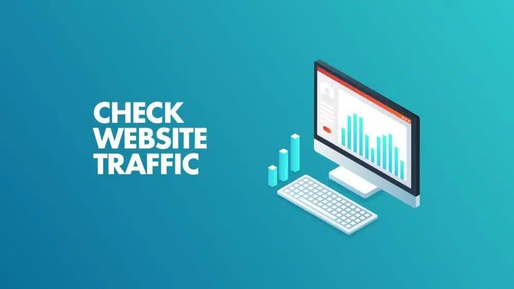 Website Traffic Checker