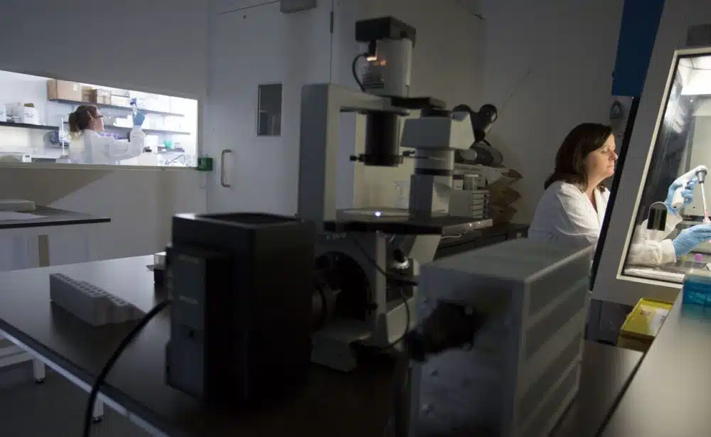 Antibacterial Treated Surfaces