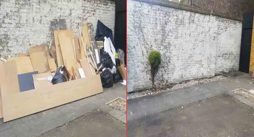 Junk Bunk junk removal