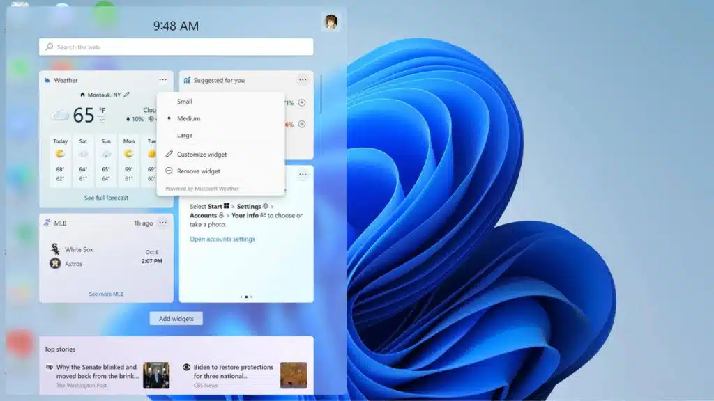 Windows 11 Widget Panel