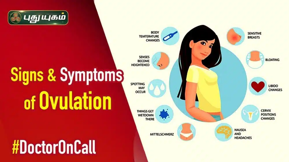 Most Common Ovulation Symptoms And Signs