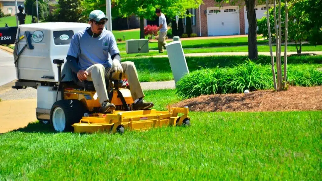 DIY Lawn Care vs. Professional Lawn Care Services