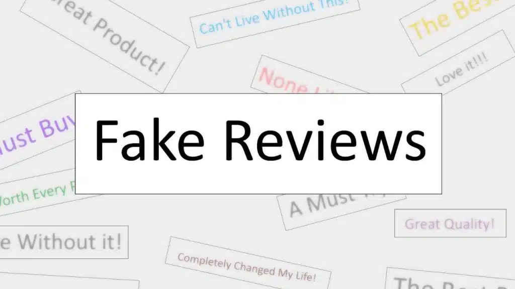 Fake Reviews (1)