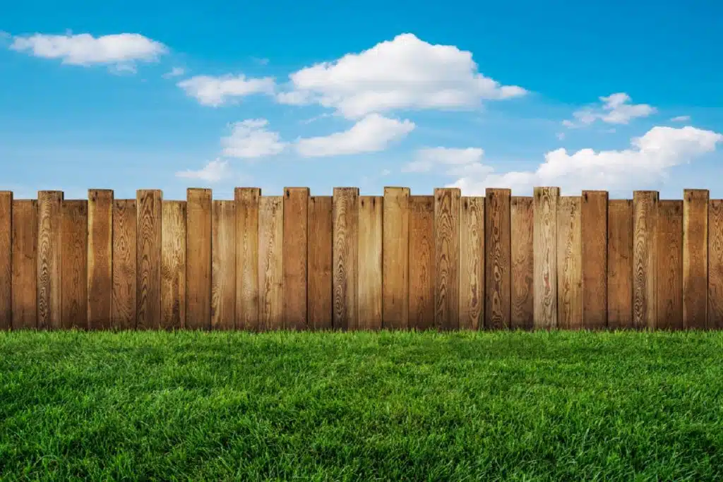 Types of Backyard Fences