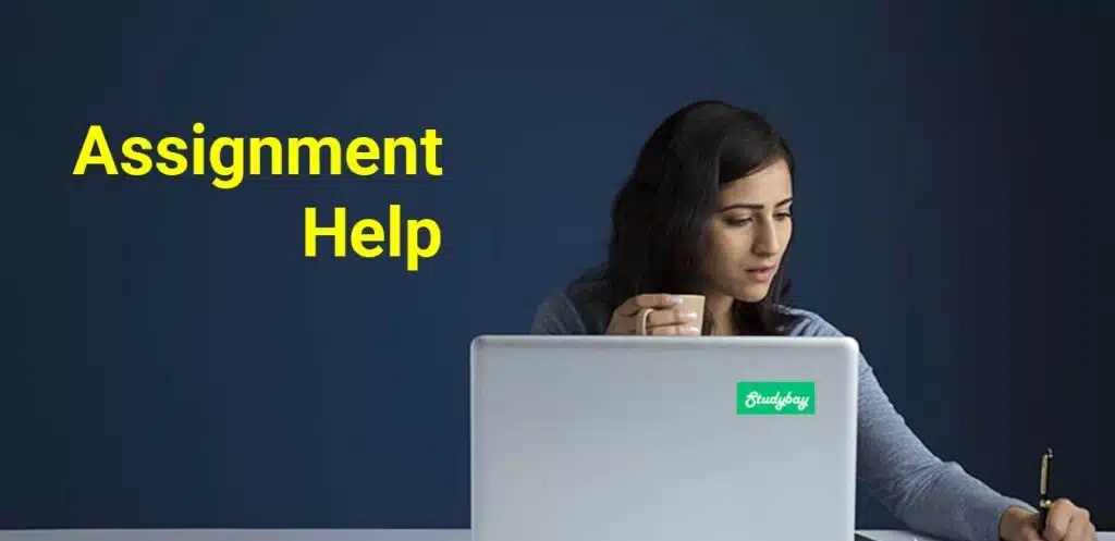 Assignment Help Services