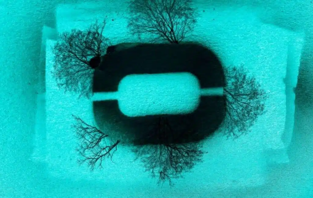 COVID-19 Frankenstein Variant