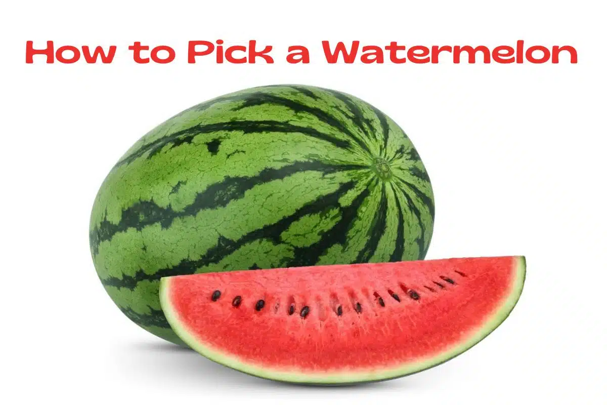 How to Pick a Watermelon