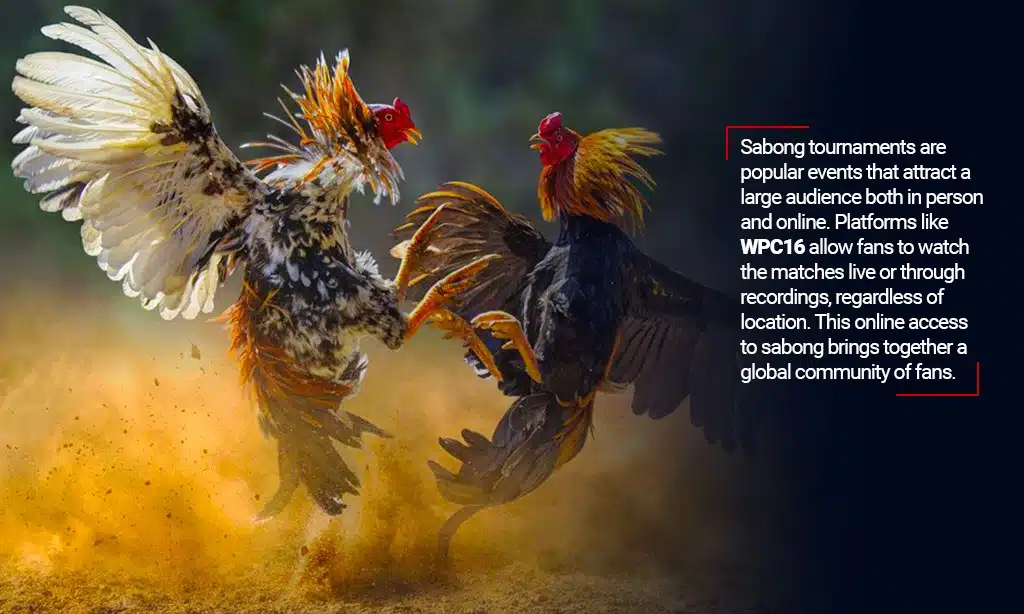 wpc16 sabong tournaments