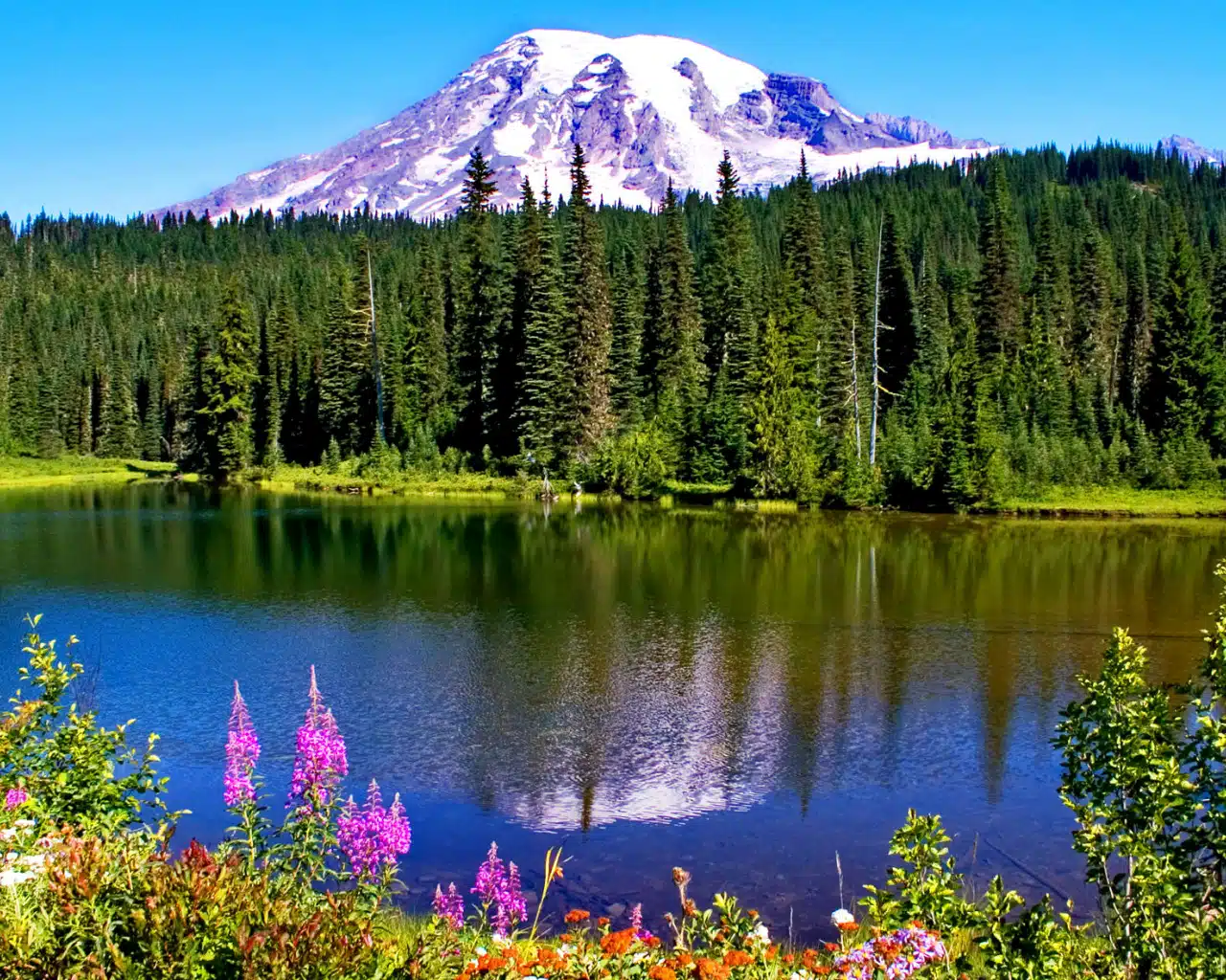 jasper-national-park-alberta