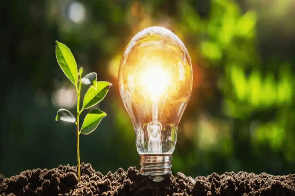 Climate Change Impacting the Business