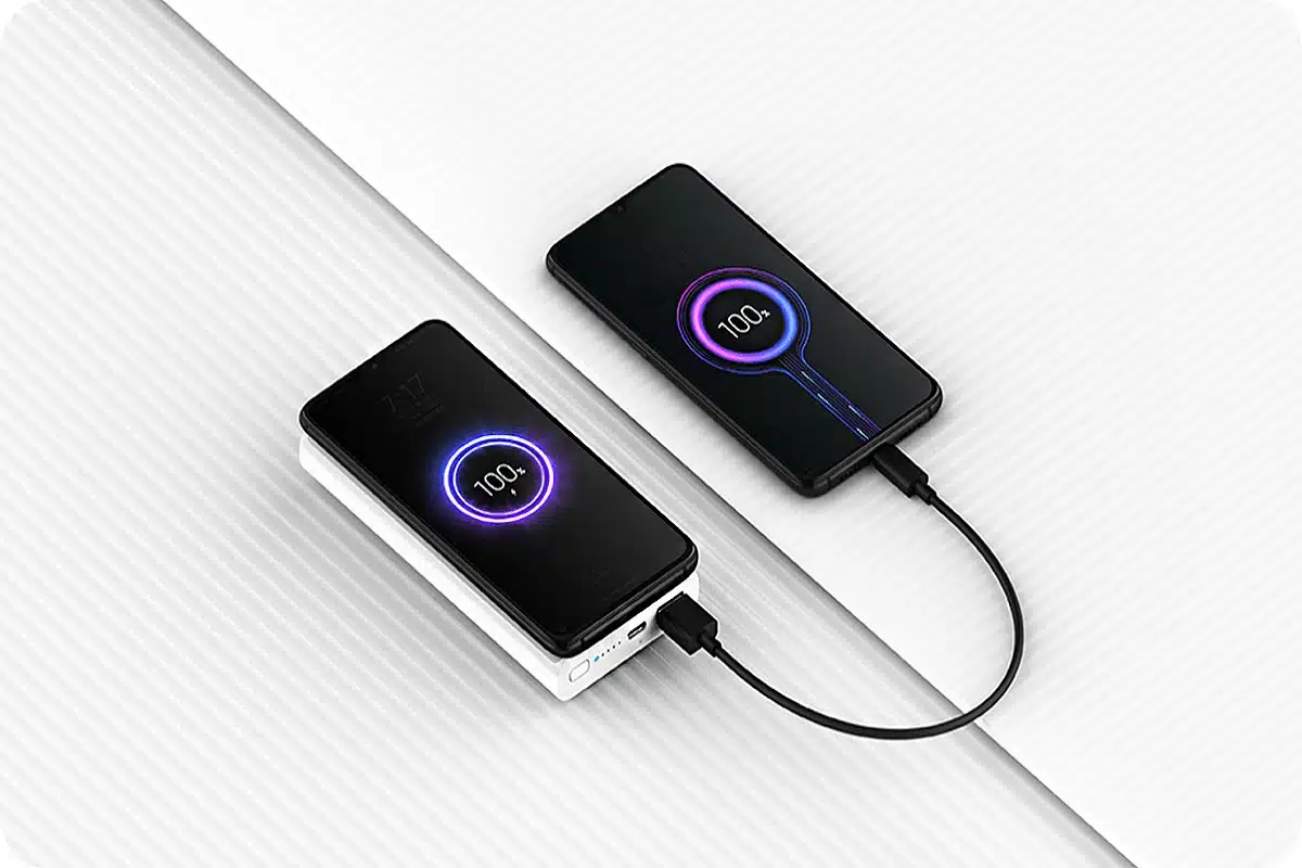 Travel With a Power Bank