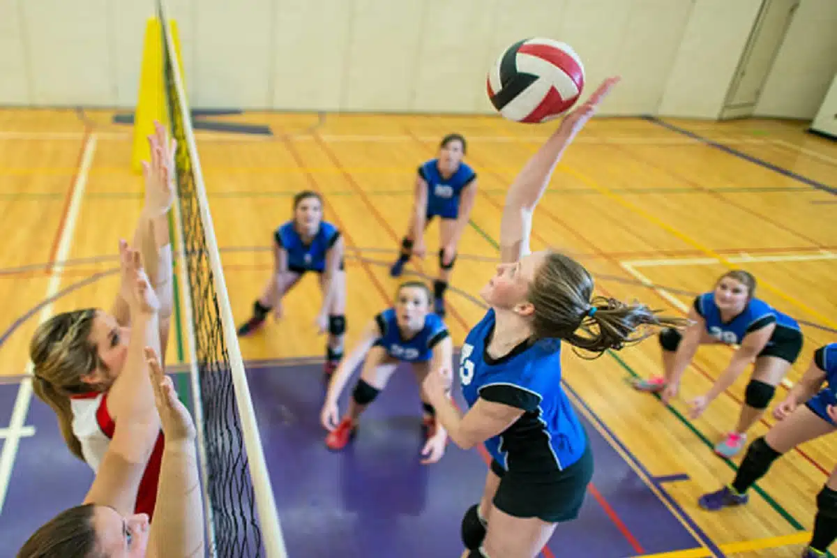 Volleyball Betting Odds