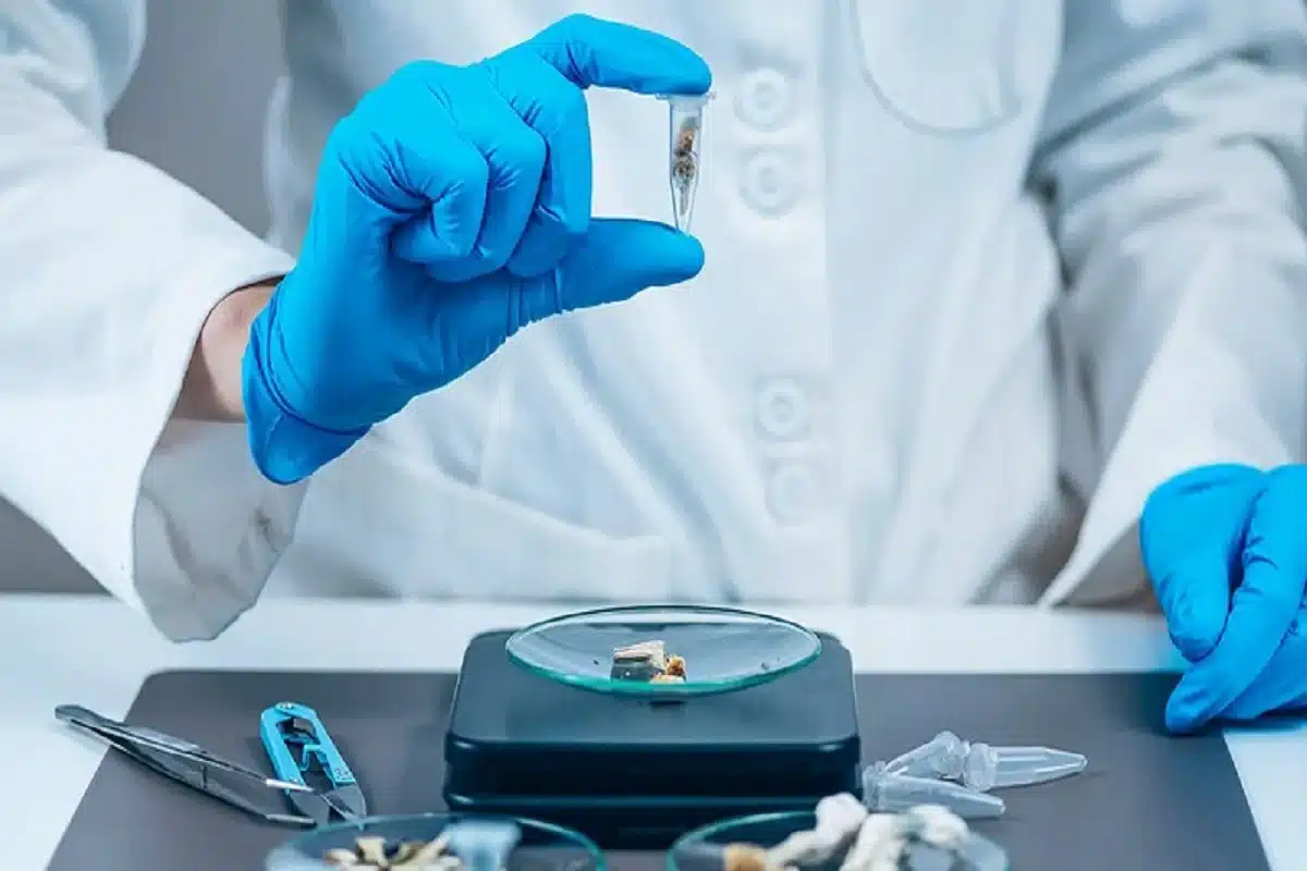 Health effects of psilocybin