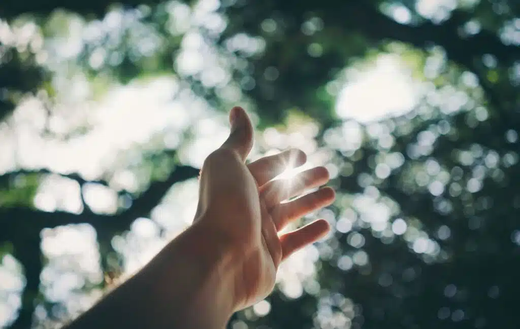 Specialist Disability Accommodation