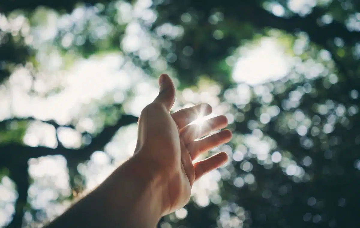 Specialist Disability Accommodation