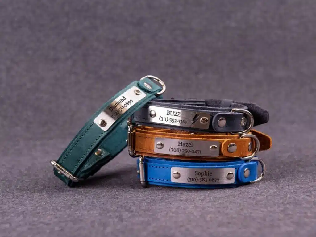 Accessories for pets