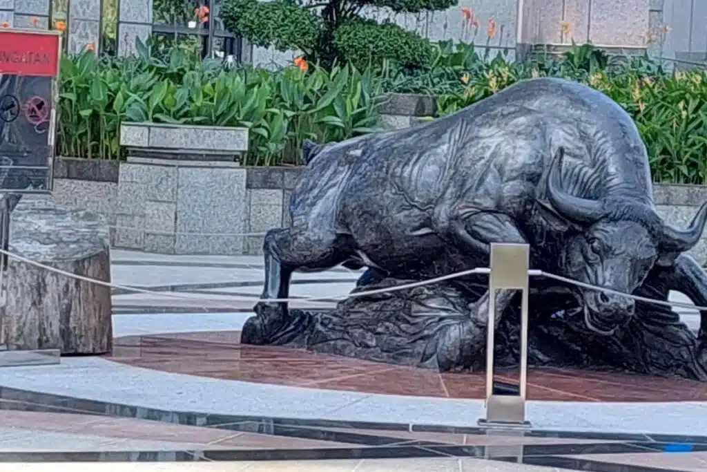 Bear And Bull Markets