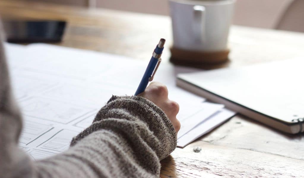 Essay Writing Service