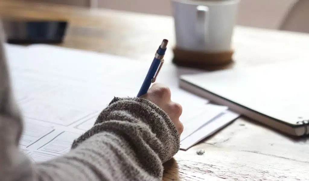 Essay Writing Service