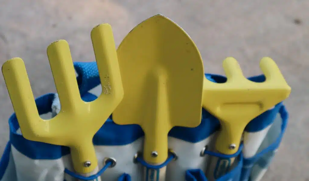 How to Buy Lawn Tools?