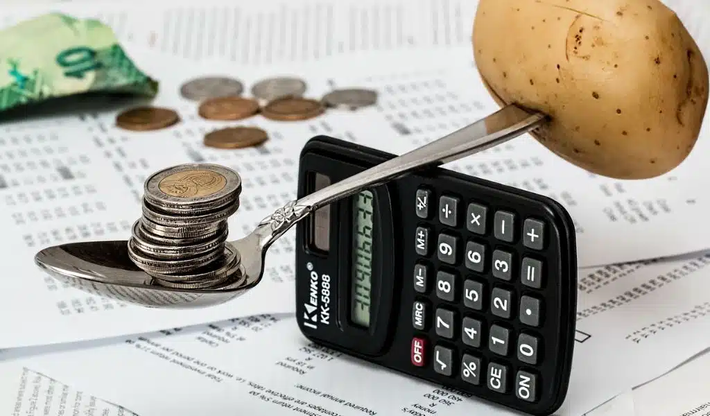 Financial Plan for Family