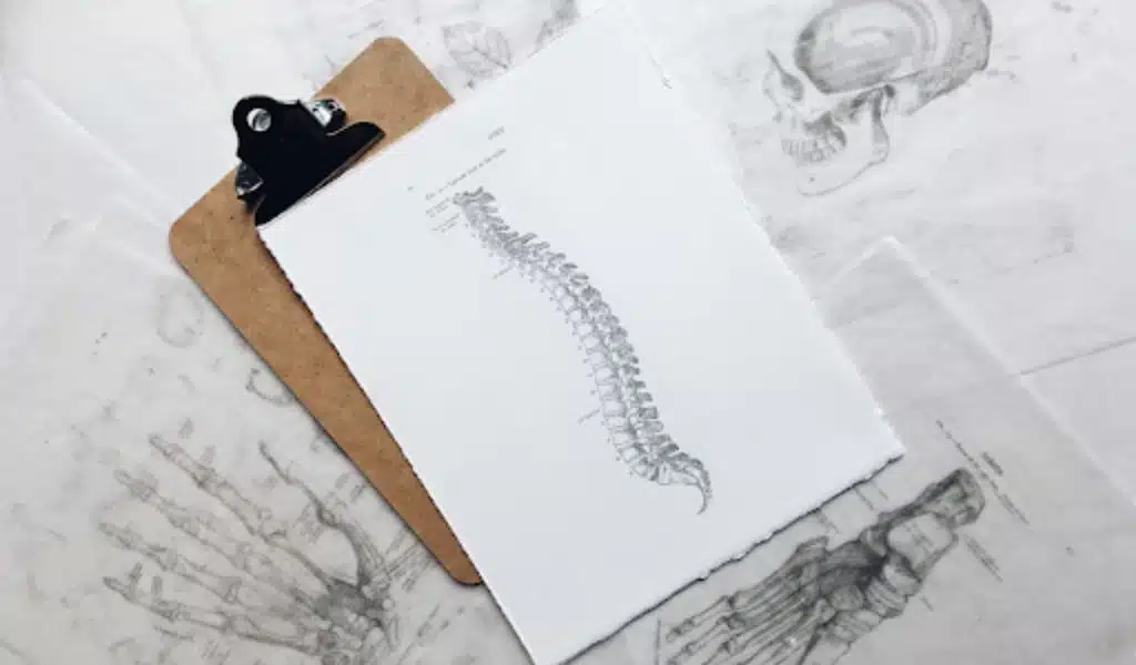 How a Back Brace Improves Posture?