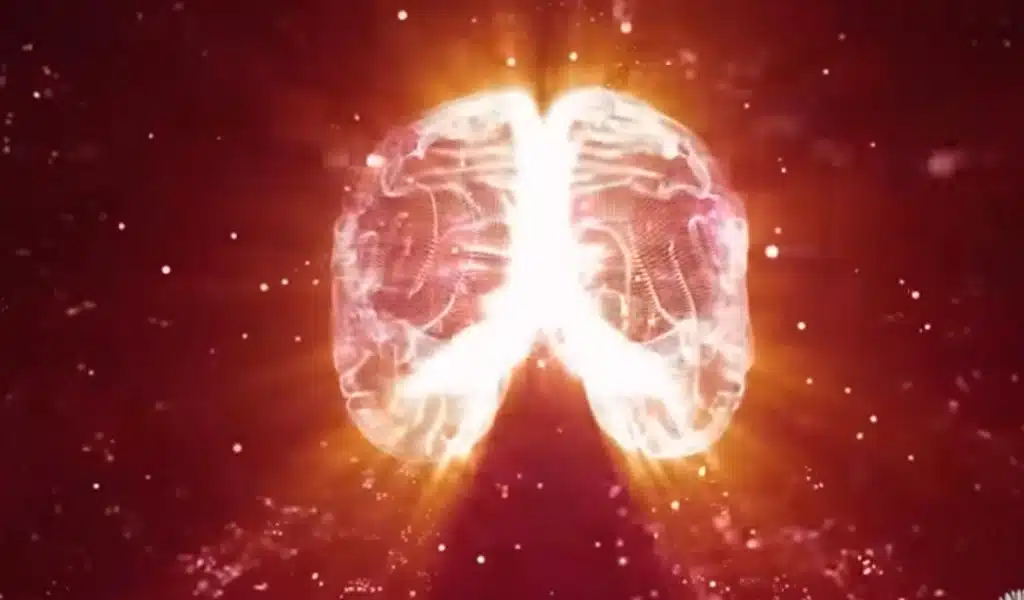 How to Rest Your Mind?