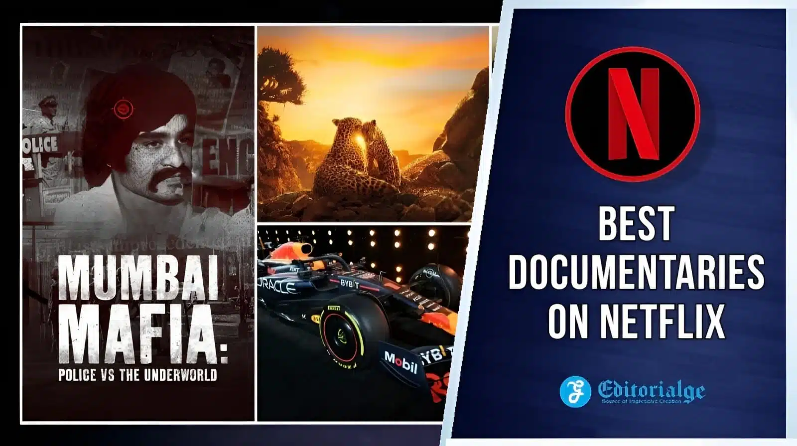 Best Documentaries on Netflix