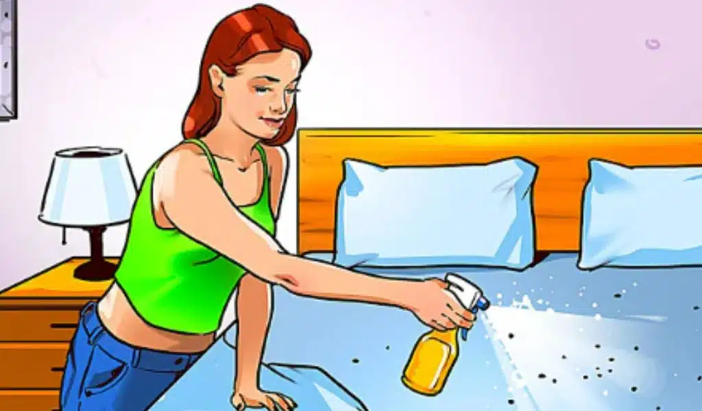 Home Remedies for Ticks