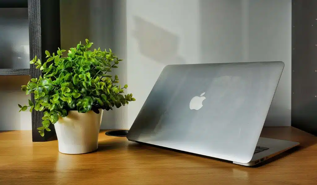 How to Grow Your Startup Quickly