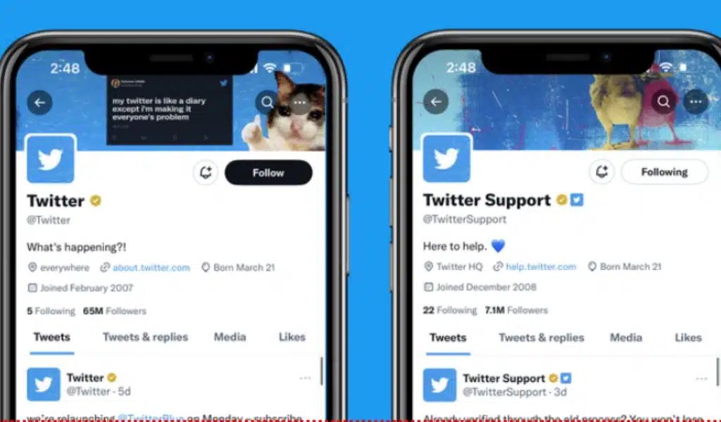 Twitter Gold verification